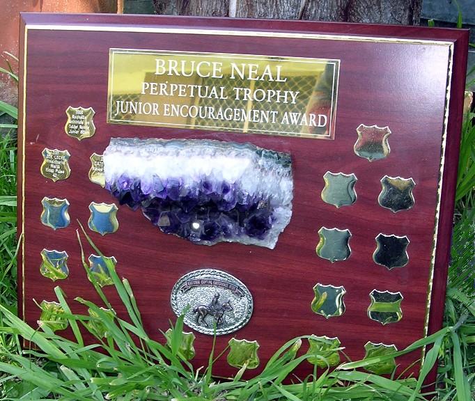 Bruce Neal Trophy