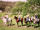 5. Best conditioned lineup 1985: Jenny Oliver and Glenallen Nomad (centre), Marie de Monchaux and Tilden Zeichen (far right). Horse second from left, Prancer, was winner in 1982 & 1983.