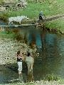 The creek makes the Brookvale campsite special (1989)