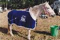 Coco in her trophy rug, NSW State Ride 1992