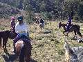 Riders on the trail at Gundaroo outing 13 July 2014